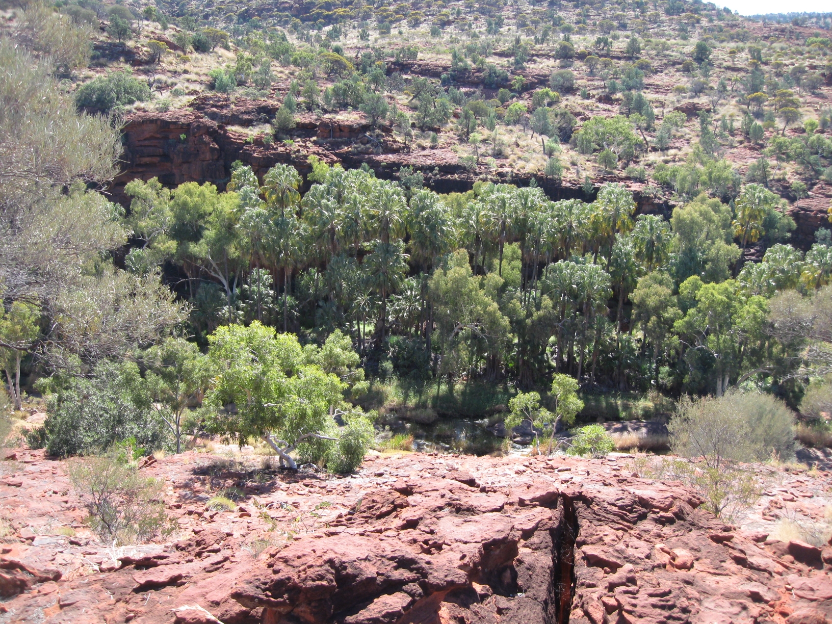 Finke National Park