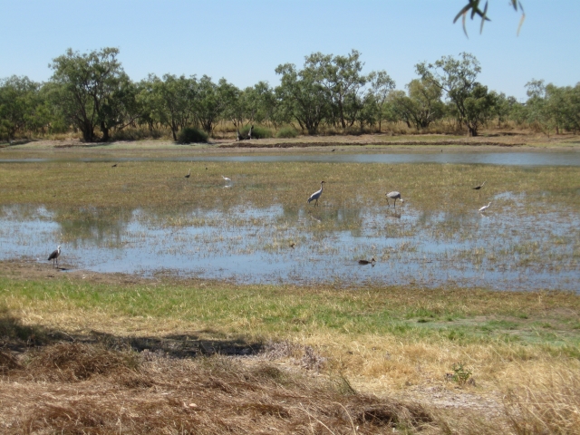 Camooweal Lagoon