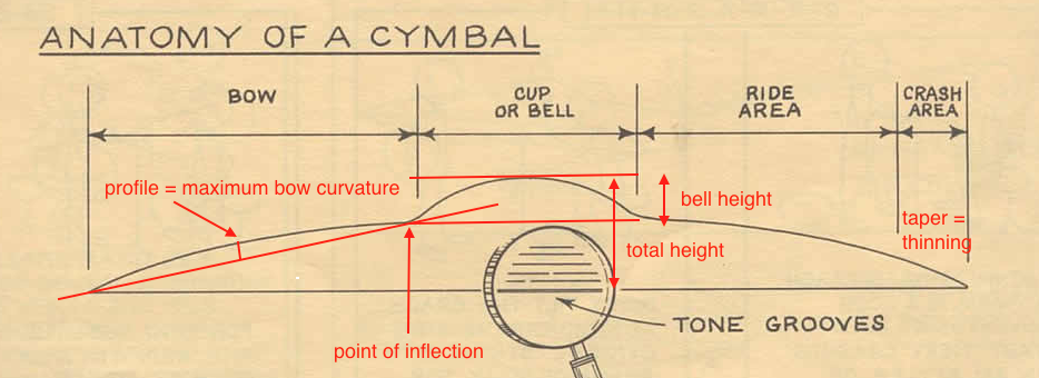images/cymbal-anatomy101.png
