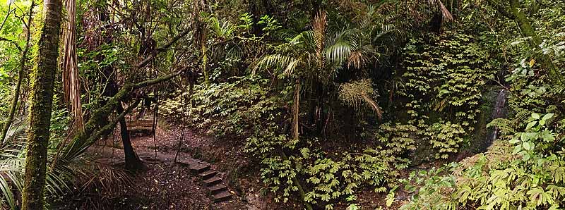 Bush track and waterfall