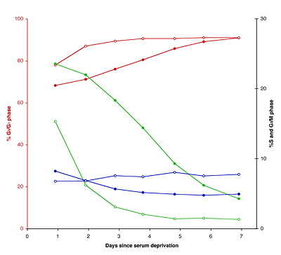 NZM2 cell cycle phasing